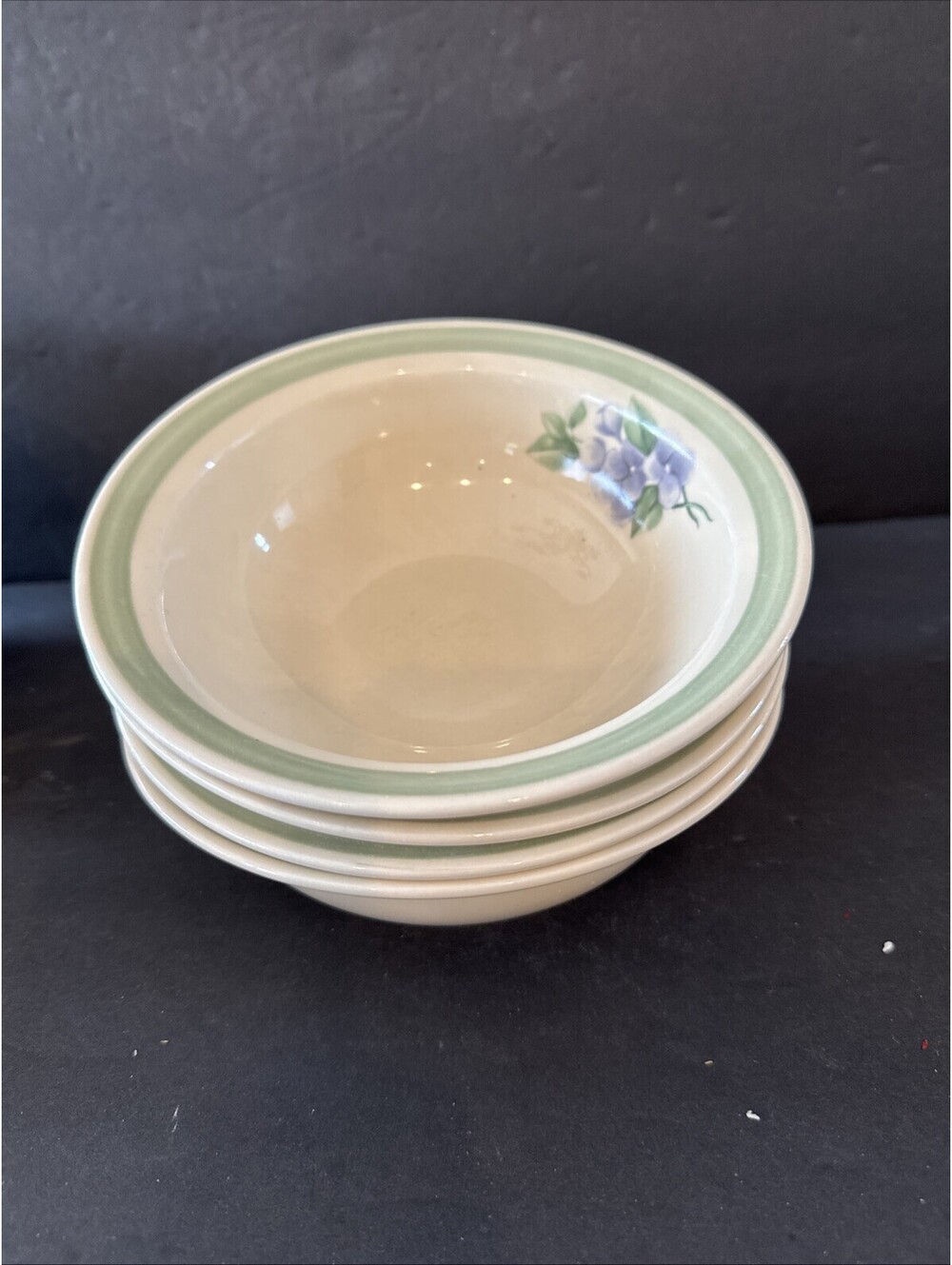 (4) Pfaltzgraff GARDEN PARTY IMPRESSIONS 6.5" Cereal Fruit Dessert Bowls